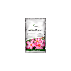 Terra Especial P/ Rosa Do Deserto Pct. 2 KG